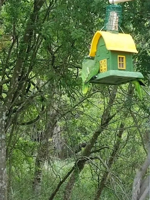 Posada Del Sol Mobile Home Pk Picture 5