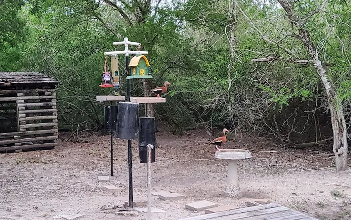 Posada Del Sol Mobile Home Pk Picture 2