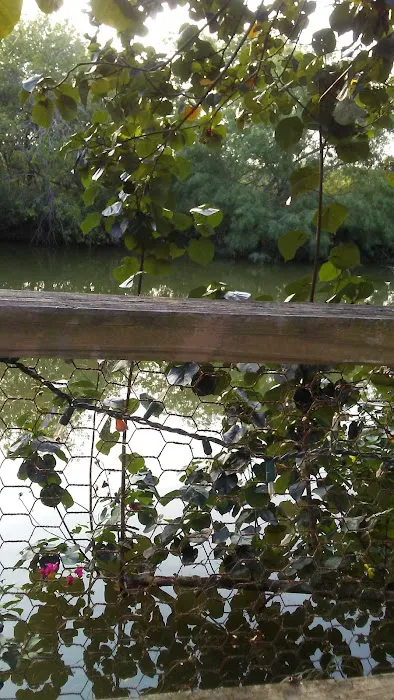 Posada Del Sol Mobile Home Pk Picture 6