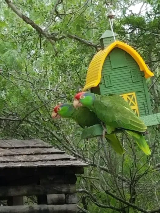 Posada Del Sol Mobile Home Pk Picture 9