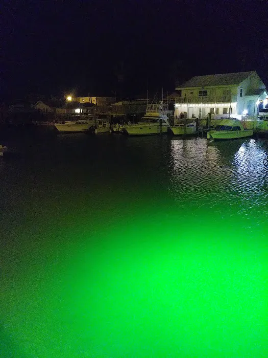 Tarpon RV Park & Marina Picture 3