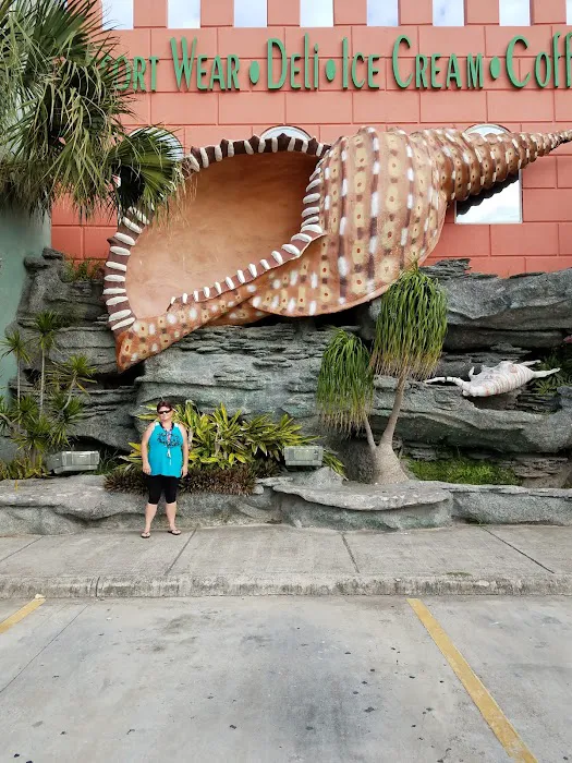 Sandpiper Trailer Park Picture 9