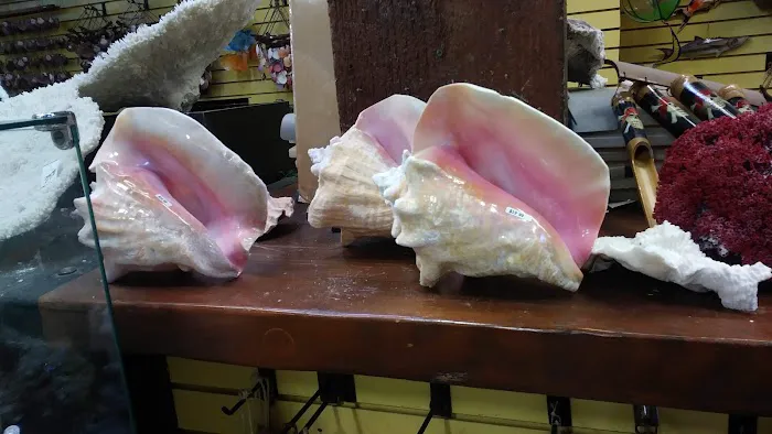 Sandpiper Trailer Park Picture 7