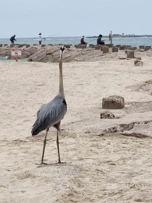 Isla Blanca Park Picture 1