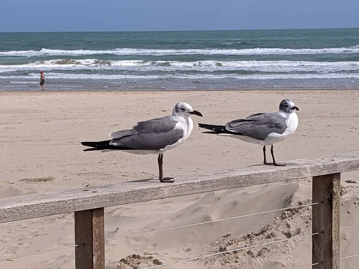 Isla Blanca Park Picture 10