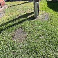 Lazy R Family Park ico