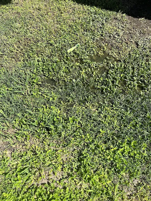 Lazy R Family Park Picture 5