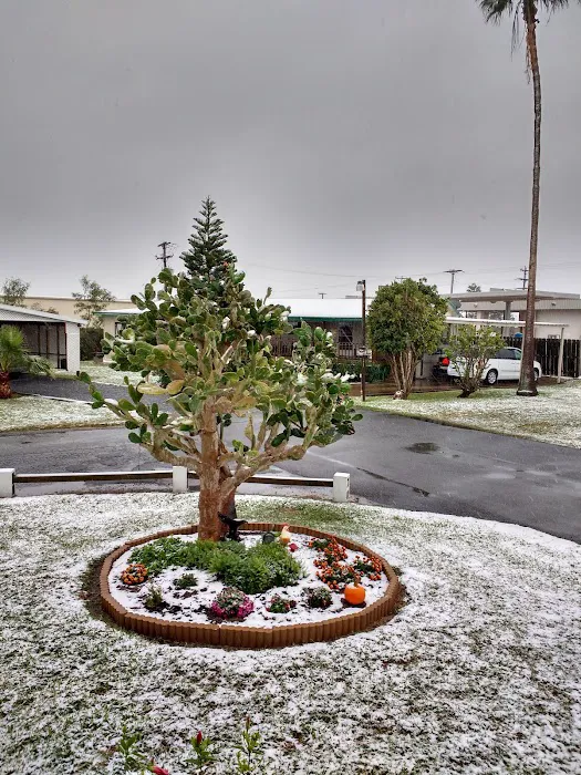 Twin Palms RV Resort Picture 8