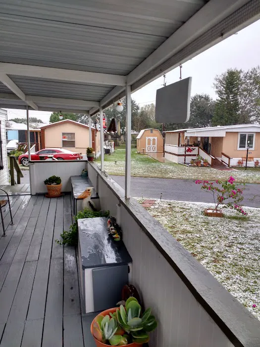 Twin Palms RV Resort Picture 4