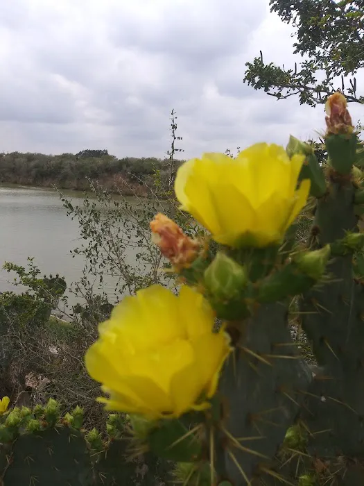 River Ranch Resort RV Park Picture 5