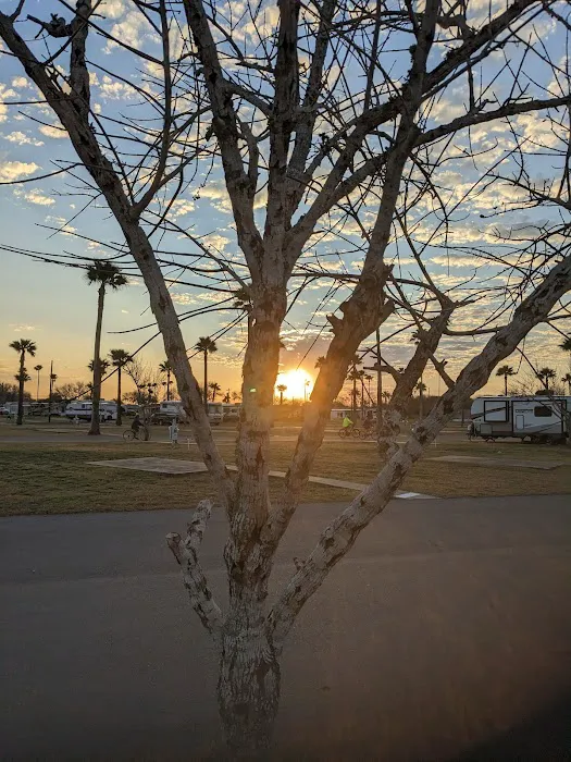 Park Place Estates RV Resort Picture 8