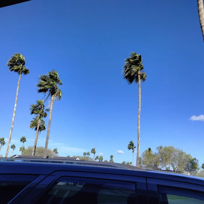 Park Place Estates RV Resort Picture 6