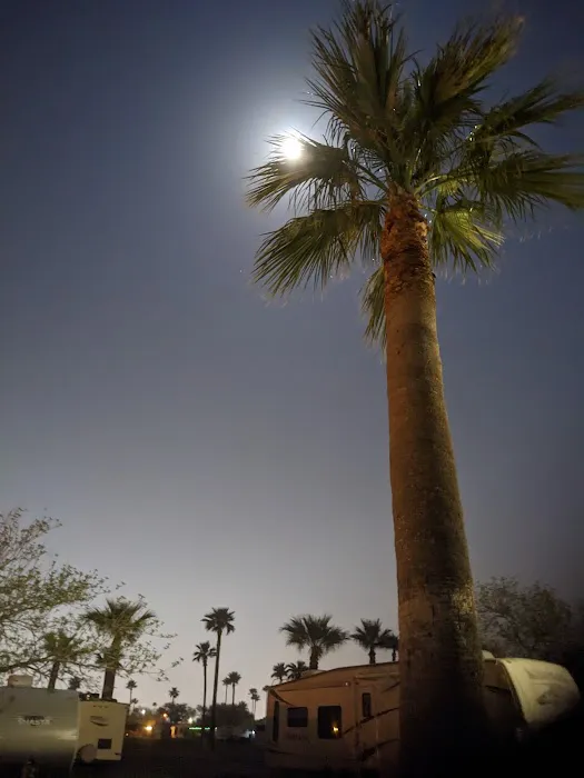 Park Place Estates RV Resort Picture 4