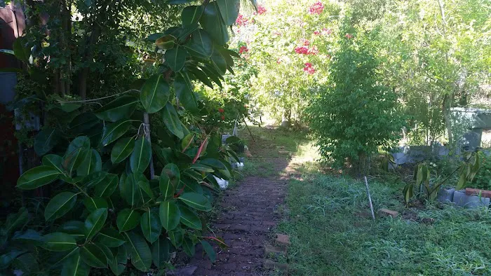 Dora E Rv Park Picture 2