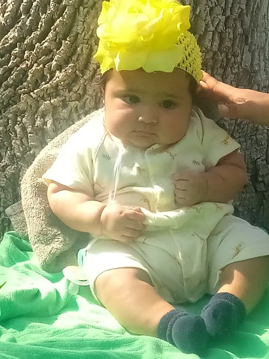 Dora E Rv Park Picture 4