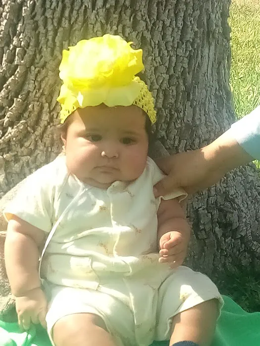 Dora E Rv Park Picture 5