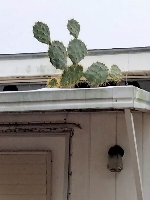 Emerald Grove Travel Park Picture 3