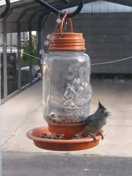 Emerald Grove Travel Park Picture 4