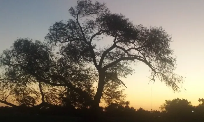 Emerald Grove Travel Park Picture 6