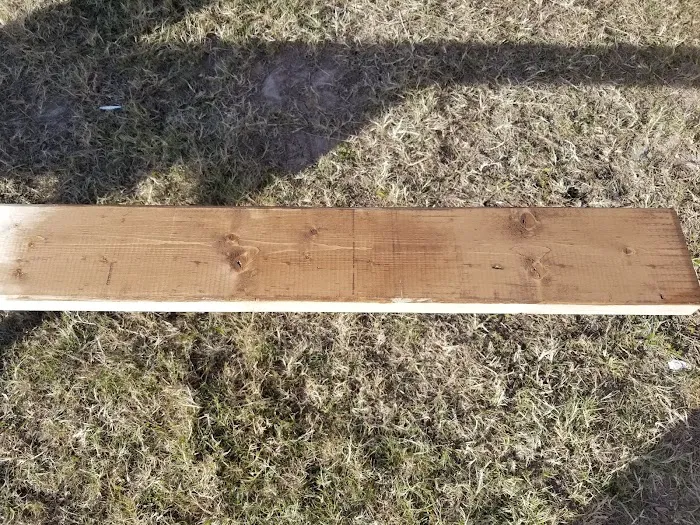 Emerald Grove Travel Park Picture 9