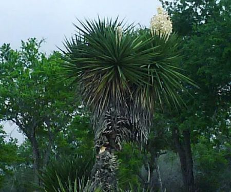 Emerald Grove Travel Park