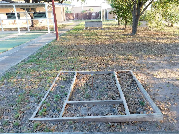 The Fig Tree RV Resort Picture 10