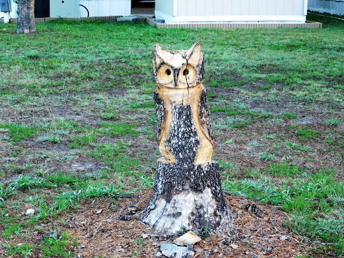 The Fig Tree RV Resort Picture 2