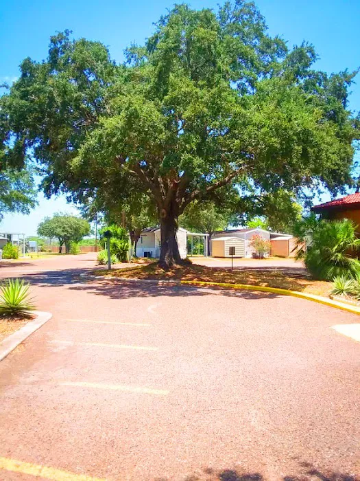 The Fig Tree RV Resort Picture 5