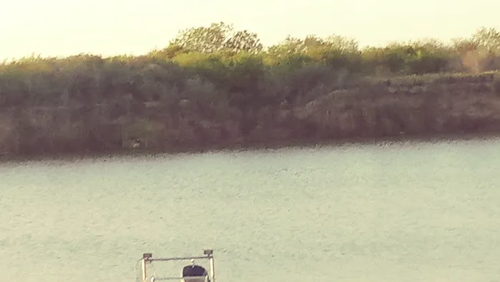 Diving Dolphins Rv Park Picture 2