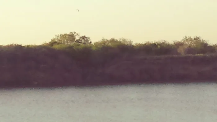 Diving Dolphins Rv Park Picture 1