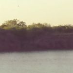 Diving Dolphins Rv Park