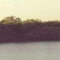 Diving Dolphins Rv Park ico