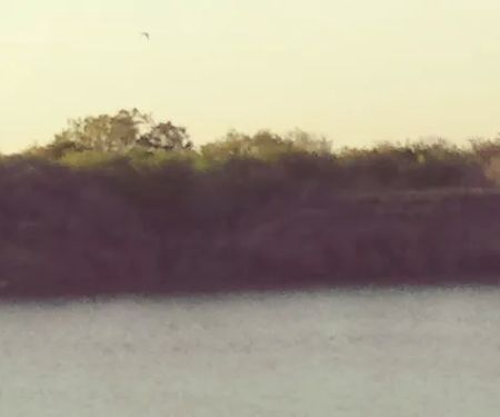 Diving Dolphins Rv Park