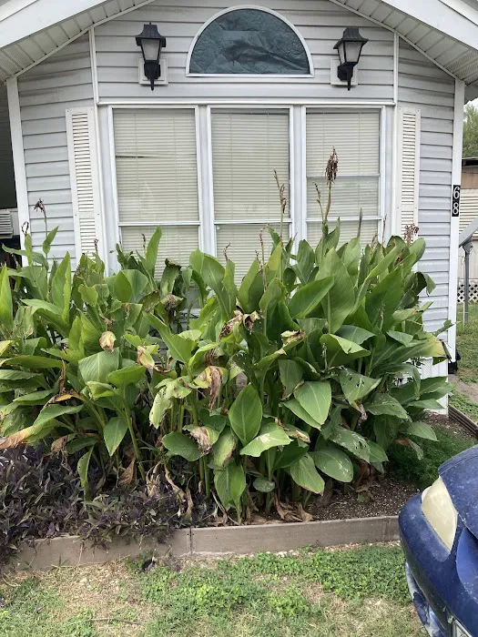 La Feria Mobile Home Park Picture 1