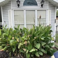 La Feria Mobile Home Park ico