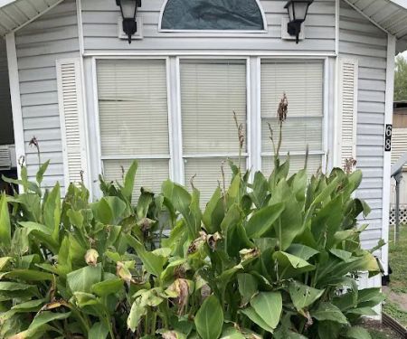 La Feria Mobile Home Park