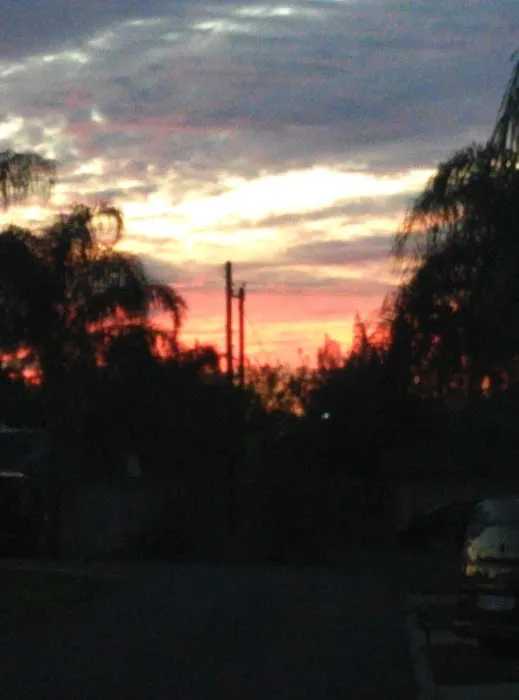 Breezewood Cove RV Park Picture 3