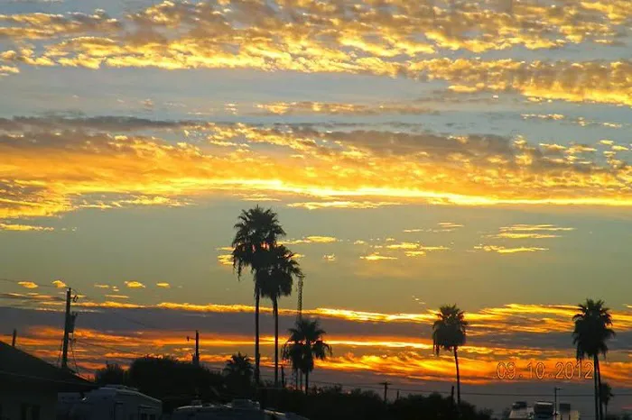 VIP-La Feria RV Park Picture 2