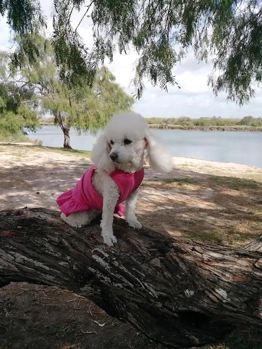 Arroyo City RV and Boat Park Picture 1