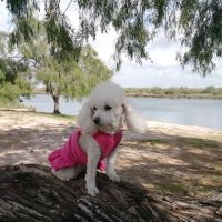 Arroyo City RV and Boat Park ico