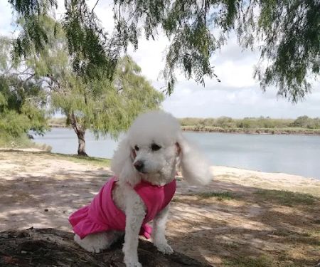 Arroyo City RV and Boat Park