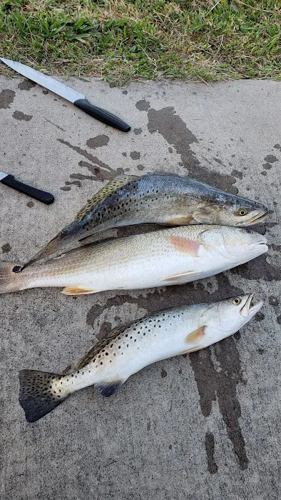 Arroyo City RV and Boat Park Picture 5