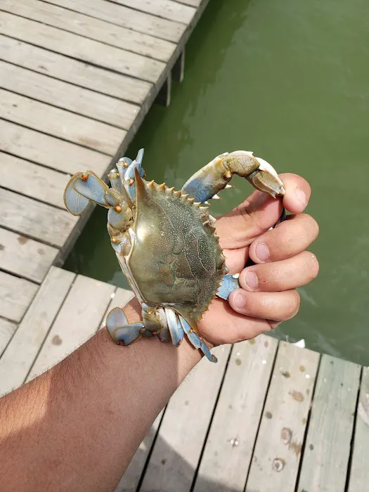 Arroyo City RV and Boat Park Picture 10