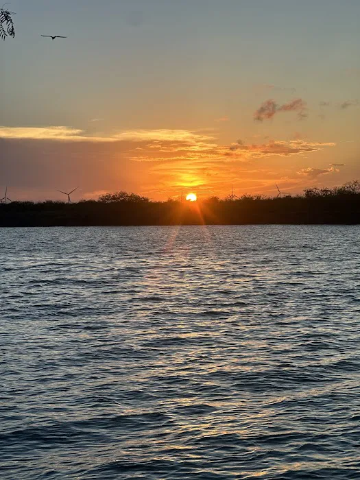 Arroyo City RV and Boat Park Picture 6