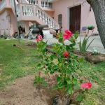 Park at Port Mansfield