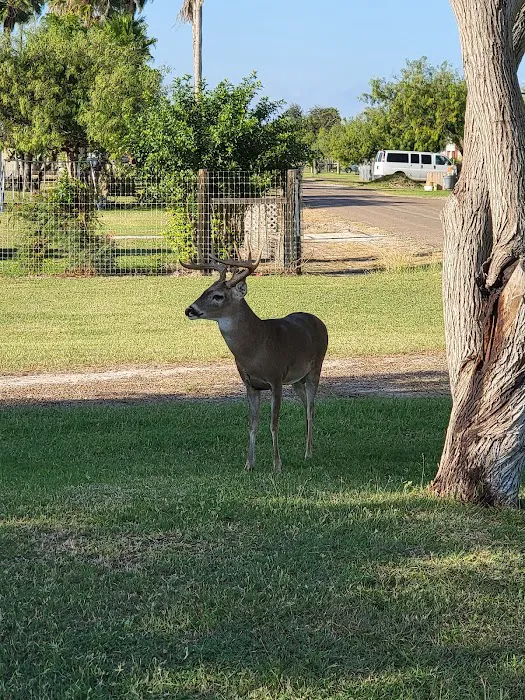 R &R Rv Park Picture 3
