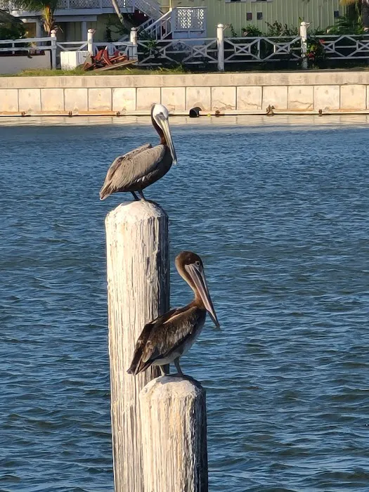 Bayview RV Park Picture 7