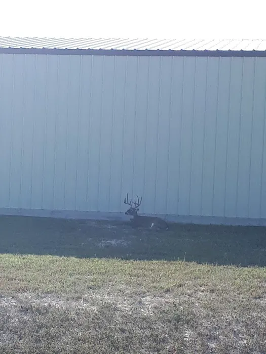 Bayview RV Park Picture 5