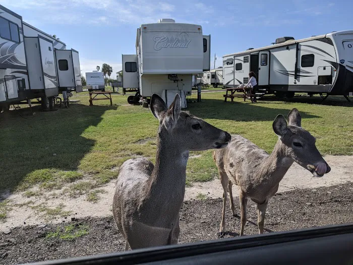 Bayview RV Park Picture 3