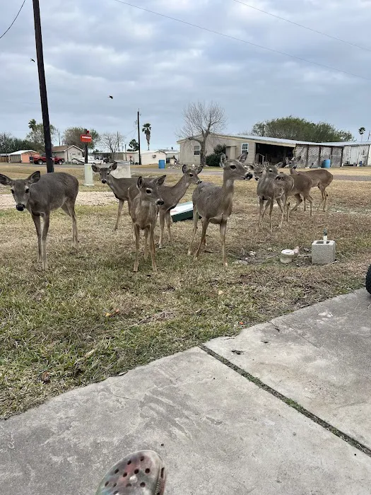 Bayview RV Park Picture 4